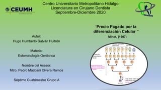 Centro Universitario Metropolitano Hidalgo
Licenciatura en Cirujano Dentista
Septiembre-Diciembre 2020
Autor:
Hugo Humberto Galván Huitrón
Materia:
Estomatología Geriátrica
Nombre del Asesor:
Mtro. Pedro Macbani Olvera Ramos
Séptimo Cuatrimestre Grupo A
‘Precio Pagado por la
diferenciación Celular ’’
Minot, (1907)
 