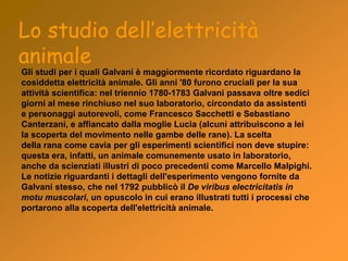 Lo studio dell’elettricità
animale
Gli studi per i quali Galvani è maggiormente ricordato riguardano la
cosiddetta elettricità animale. Gli anni '80 furono cruciali per la sua
attività scientifica: nel triennio 1780-1783 Galvani passava oltre sedici
giorni al mese rinchiuso nel suo laboratorio, circondato da assistenti
e personaggi autorevoli, come Francesco Sacchetti e Sebastiano
Canterzani, e affiancato dalla moglie Lucia (alcuni attribuiscono a lei
la scoperta del movimento nelle gambe delle rane). La scelta
della rana come cavia per gli esperimenti scientifici non deve stupire:
questa era, infatti, un animale comunemente usato in laboratorio,
anche da scienziati illustri di poco precedenti come Marcello Malpighi.
Le notizie riguardanti i dettagli dell'esperimento vengono fornite da
Galvani stesso, che nel 1792 pubblicò il De viribus electricitatis in
motu muscolari, un opuscolo in cui erano illustrati tutti i processi che
portarono alla scoperta dell'elettricità animale.
 