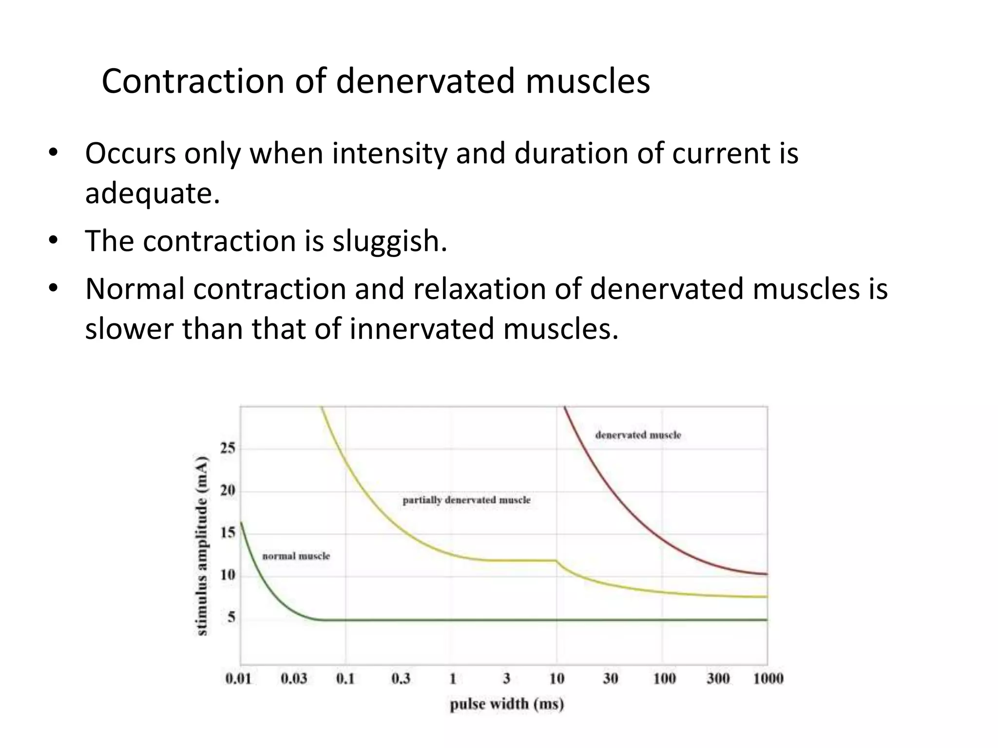 Debunking Galvanic Current: Common Mistakes & Misunderstandings - ocilgks