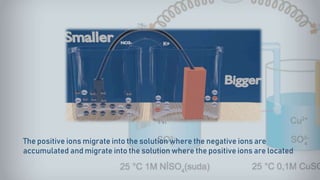 The positive ions migrate into the solution where the negative ions are
accumulated and migrate into the solution where the positive ions are located
 
