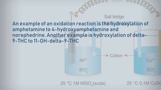 An example of an oxidation reaction is the hydroxylation of
amphetamine to 4-hydroxyamphetamine and
norephedrine. Another example is hydroxylation of delta-
9-THC to 11-OH-delta-9-THC
 
