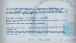 The transfer of electrons from glucose to O2 is a thermodynamicallydownhill, energy-
releasingprocess, just like the transfer of electrons from zinc metal to copper ion. And while
you could have used the energy released by the zinc/copper redox reaction to light a small
light bulb, your cells use the energy released by the glucose/oxygenredox process to carry
out a wide variety of energy-requiringactivities
On a global scale, oxidation of the carbons in glucose to CO2
by non-photosyntheticorganisms (like people) and the subsequent reductive synthesisof
glucose from CO2
by plants is what ecologists refer to as the 'carbon cycle'.
In general the more reduced an organic molecule is, the more energyis released when it is
oxidized to CO2
. Going back to our single-carbonexamples, we see that methane, the most reduced
compound, releases the most energy when oxidized to carbon dioxide, while formic acid
releases the least
 