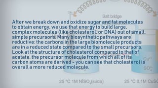 After we break down and oxidize sugar and fat molecules
to obtain energy, we use that energy to build large,
complex molecules (like cholesterol, or DNA) out of small,
simple precursors. Many biosynthetic pathways are
reductive: the carbons in the large biomolecule products
are in a reduced state compared to the small precursors.
Look at the structure of cholesterol compared to that of
acetate, the precursor molecule from which all of its
carbon atoms are derived - you can see that cholesterol is
overall a more reduced molecule.
 