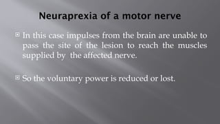 Neuraprexia of a motor nerve
 In this case impulses from the brain are unable to
pass the site of the lesion to reach the muscles
supplied by the affected nerve.
 So the voluntary power is reduced or lost.
 