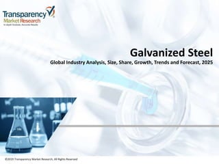 ©2019 Transparency Market Research, All Rights Reserved
Galvanized Steel
Global Industry Analysis, Size, Share, Growth, Trends and Forecast, 2025
©2019 Transparency Market Research, All Rights Reserved
 