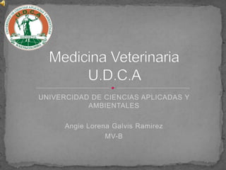 UNIVERCIDAD DE CIENCIAS APLICADAS Y
AMBIENTALES
Angie Lorena Galvis Ramirez
MV-B
 