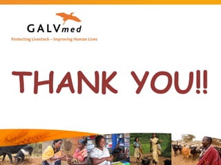 Commercial distribution of ECF-ITM vaccine in East Africa and Malawi