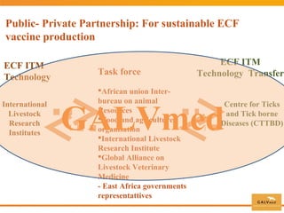 Commercial distribution of ECF-ITM vaccine in East Africa and Malawi