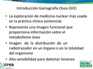Introducción Gamagrafía Osea (GO) La exploración de medicina nuclear más usada en la práctica clínica asistencial. Representa una imagen funcional que proporciona información sobre el metabolismo óseo Imagen  de  la  distribución  de  un radiotrazador en un órgano o en la totalidad del organismo Alta sensibilidad para detectar lesiones 