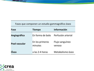 Fases que componen un estudio gammagráfico óseo Fase Tiempo Información Angiográfica En forma de bolo Perfusión arterial Pool vascular En los primeros minutos Flujo sanguíneo venoso Ósea a las 2-4 horas Metabolismo óseo 