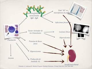 Plasmocito 
Inmunoglobulinas! 
monoclonales! 
IgG - IgA 
Peak “M” en 
electroforesis de proteínas 
Infecciones frecuentes 
Factor Activador de 
los Osteoclastos 
Lesiones líticas 
Proteína de Bence 
Jones 
Hiperuricemia 
Producción de 
Amiloide AL 
Hipercalcemia 
Insuficiencia Renal 
Anemia 
Palumbo A, Anderson K. Medical Progress: Multiple Myeloma. N Engl J Med 2011; 364: 1046-1060. 
 