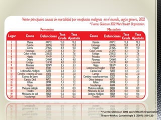 Tirado y Mohar, Cancerología 2 (2007): 109-120
* Fuente: Globocan 2002 World Health Organization.
 