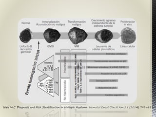 Niels W.C. Diagnosis and Risk Stratification in Multiple Myeloma. Hematol Oncol Clin N Am 28 (2014) 791–813
 