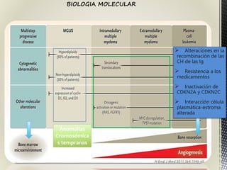 N Engl J Med 2011;364:1046-60.
Anomalías
Cromosómica
s tempranas
 Alteraciones en la
recombinación de las
CH de las Ig
 Resistencia a los
medicamentos
 Inactivación de
CDKN2A y CDKN2C
 Interacción célula
plasmática-estroma
alterada
BIOLOGIA MOLECULAR
 