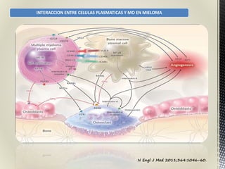 INTERACCION ENTRE CELULAS PLASMATICAS Y MO EN MIELOMA
N Engl J Med 2011;364:1046-60.
 