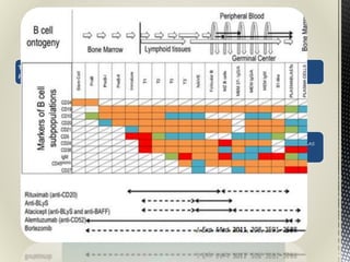 TUMOR DE CELULAS PLASMATICAS DE LA MEDULA OSEA CON EXCESIVA PRODUCCION DE
PROTEINA MONOCLONAL
GAMMAPATIA DISGAMMAGLOBULINEMIA DISGLOBULINEMIA
DISCRSIA DE CELULAS
PLASMATICAS
 