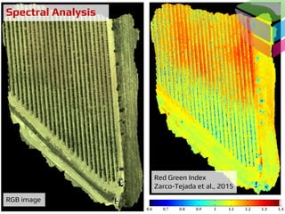 Spectral Analysis
RGB image
Red Green Index
Zarco-Tejada et al., 2015
 