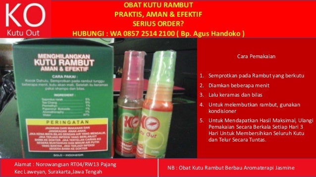 Wa 085-725-142-100, Obat Kutu Rambut Ampuh, Obat Kutu 