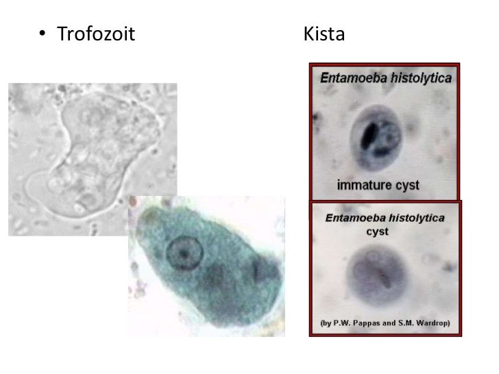 Gambar-gambar praktik