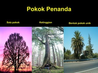 Gambar pokok | PPT