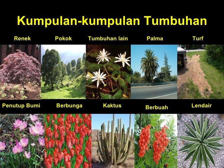  Gambar  pokok 