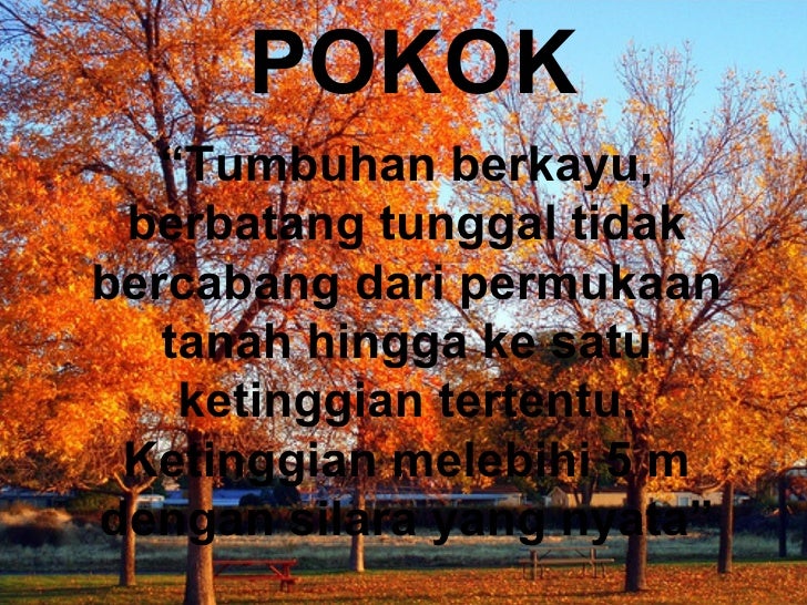Gambar Pokokpptpenyeliaesok12209293904257658