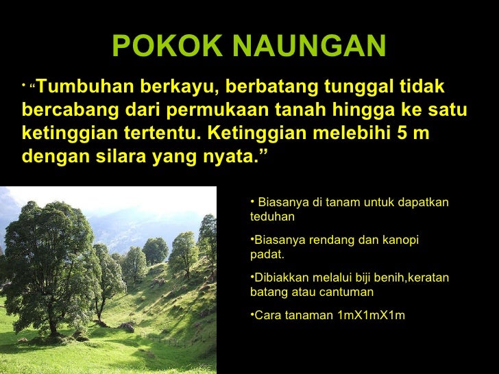 Gambar Pokokpptpenyeliaesok12209293904257658