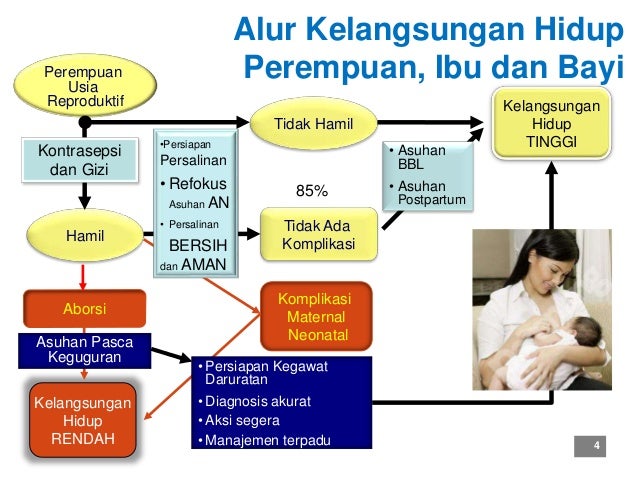 Orientasi Peningkatan Kualitas Pelayanan Kesehatan Ibu dan Bayi di Pu…