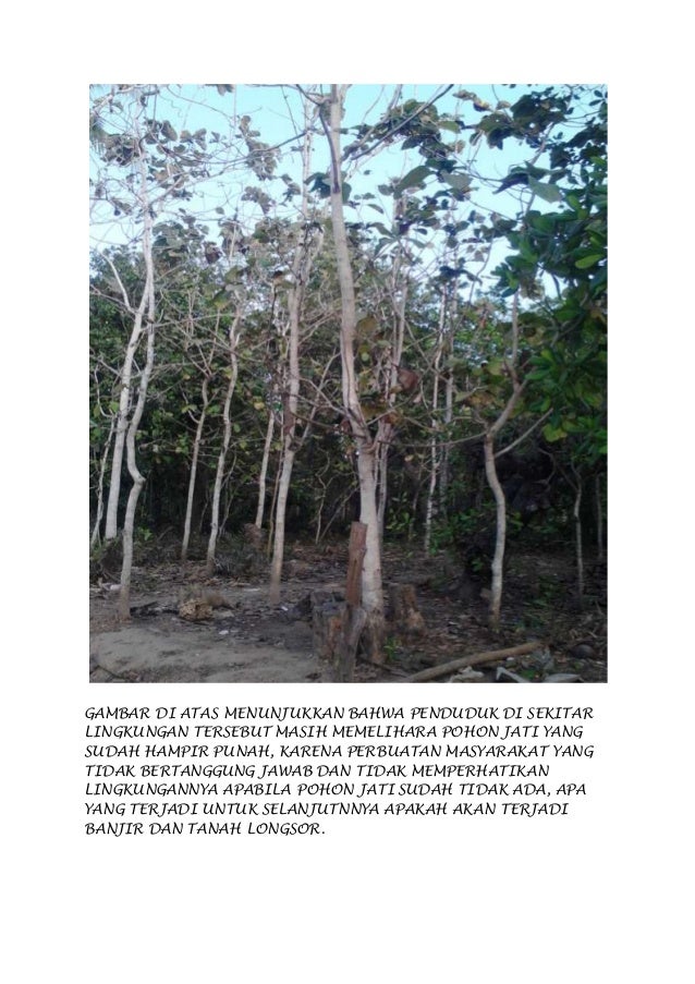 Gambar Di Atas Menunjukan Masyarakat Di Lingkungan Tersebut Tidak Bertaggung Jawab Dalam Membuang Sampah 41892873