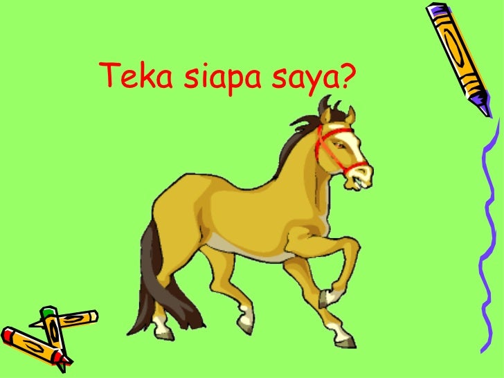 Gambar Haiwan Haiwan