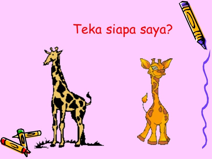 Gambar Haiwan Haiwan