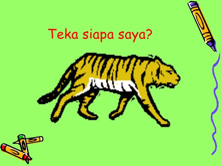 Gambar Haiwan Haiwan