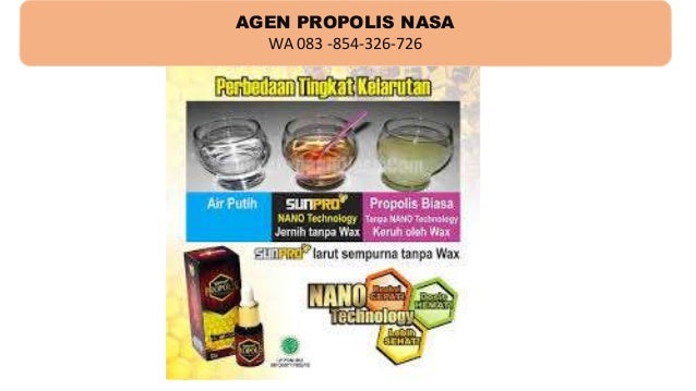 Obat Herbal Sariawan Di Lidah - Info Kesehatan