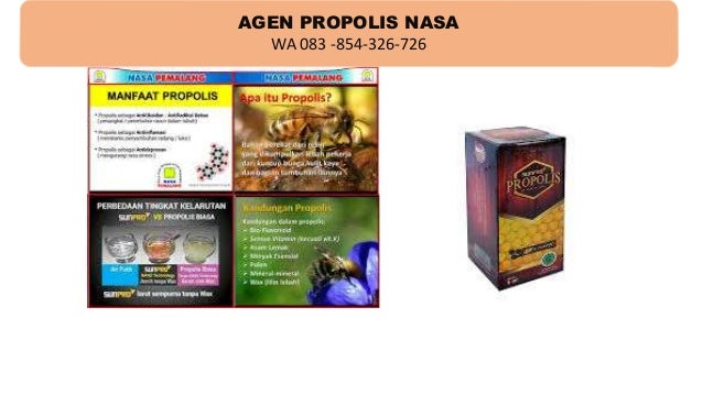 Obat Sakit Gigi Geraham Pada Anak