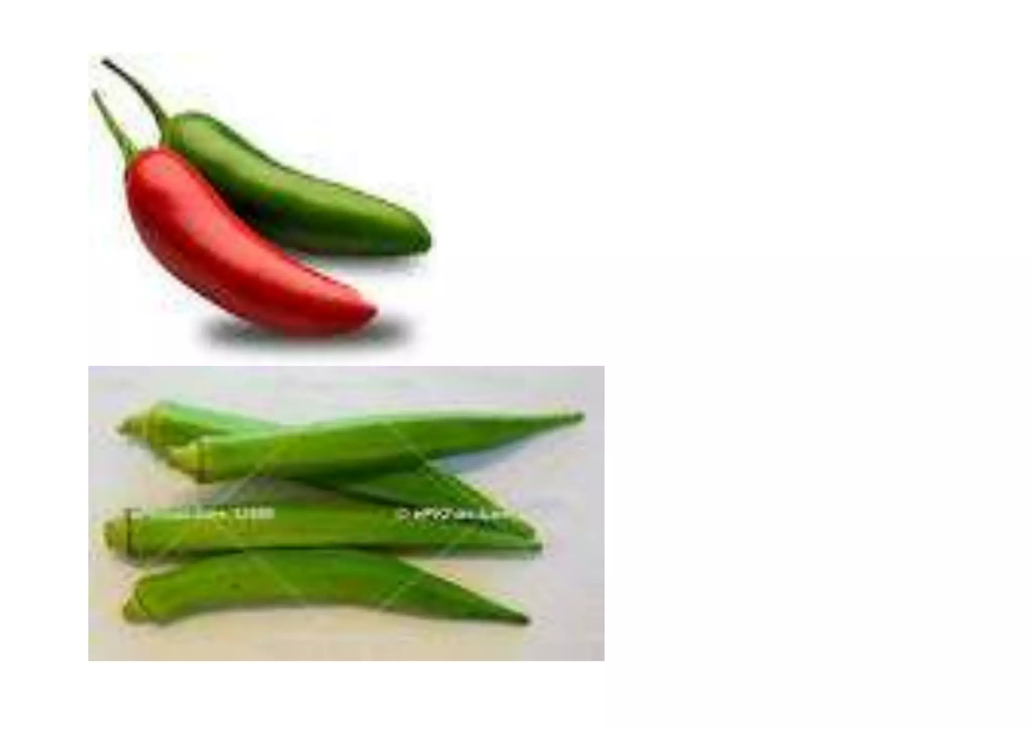 Gambar sayur | PPT