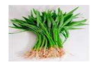 Gambar sayur | PPT