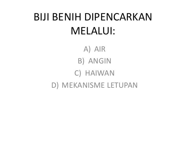 Gambar Tumbuhan