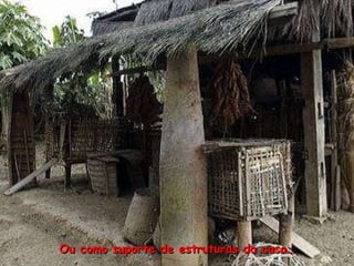 Ou como suporte de estruturas da casa… 