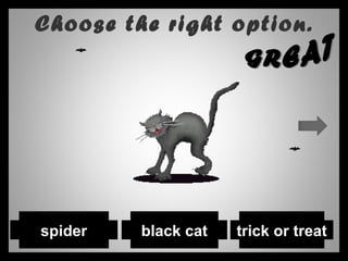 Choose the right option.
spider black cat trick or treat
 
