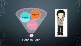 00:00:00

Organum
Organea

Organone

Bahasa Latin

 