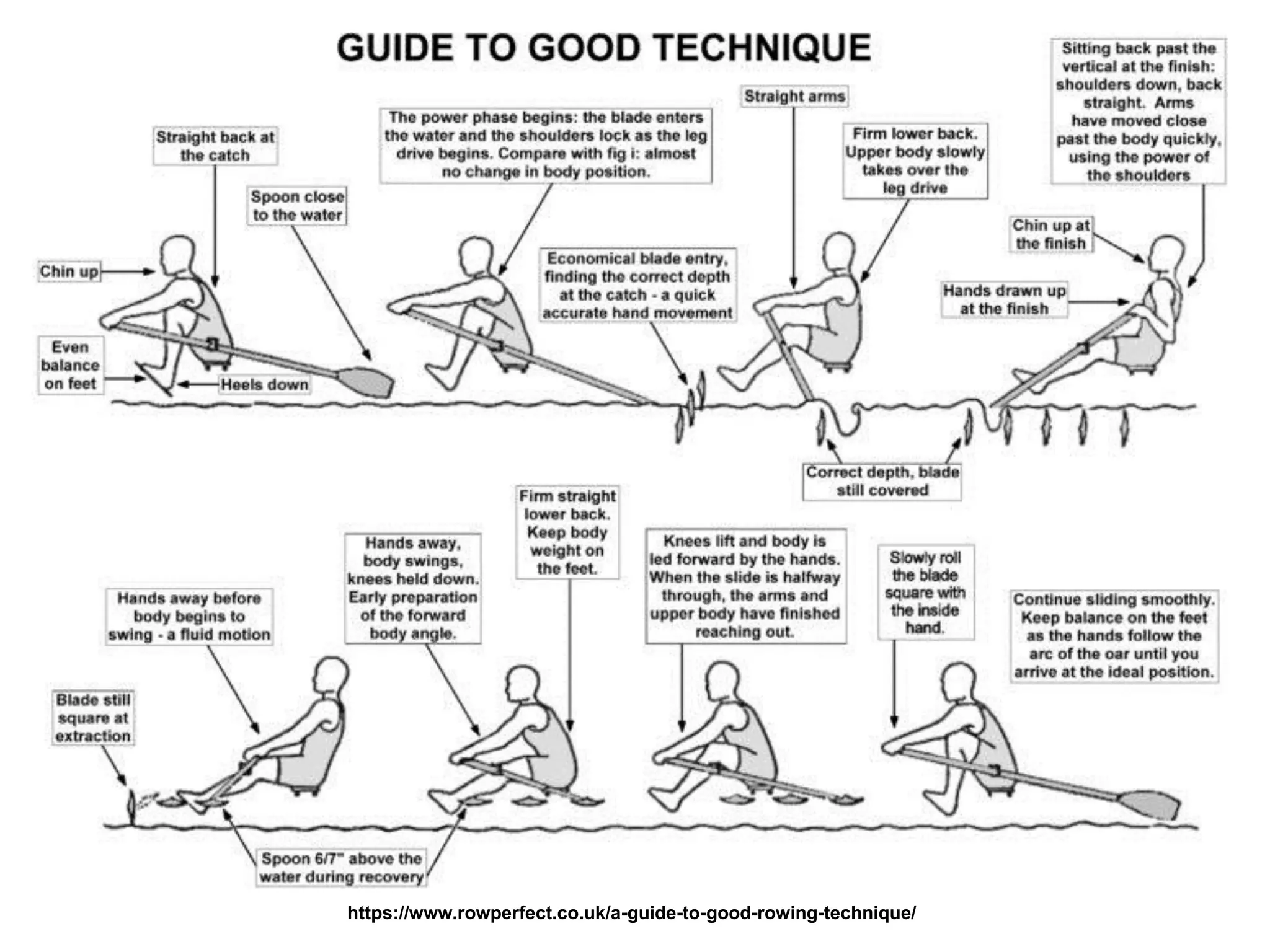 https://www.rowperfect.co.uk/a-guide-to-good-rowing-technique/
 