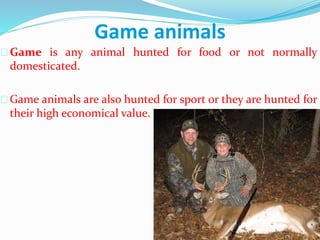 Game animals
Game is any animal hunted for food or not normally
domesticated.
Game animals are also hunted for sport or they are hunted for
their high economical value.
 