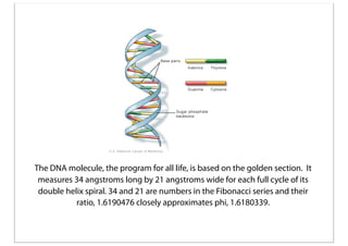 The DNA molecule, the program for all life, is based on the golden section. It
measures 34 angstroms long by 21 angstroms wide for each full cycle of its
double helix spiral. 34 and 21 are numbers in the Fibonacci series and their
ratio, 1.6190476 closely approximates phi, 1.6180339.

 