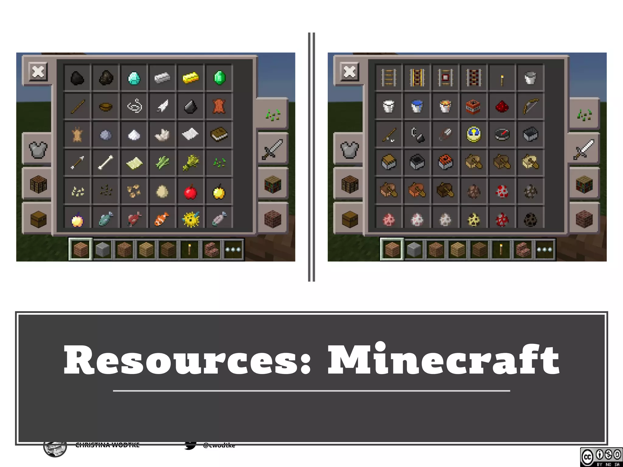 CHRISTINA WODTKE @cwodtke
Resources: Minecraft
 