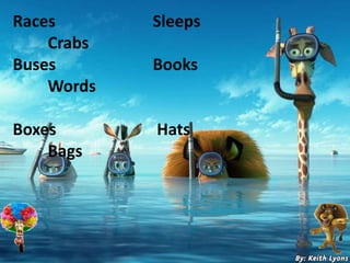 Races Sleeps
Crabs
Buses Books
Words
Boxes Hats
Bags
 
