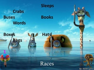 Sleeps
Crabs
Buses Books
Words
Boxes Hats
Bags
1
Races
 
