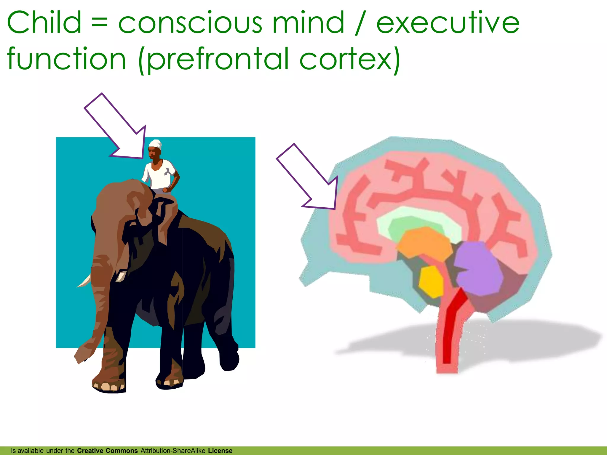 Child = conscious mind / executive
function (prefrontal cortex)




is available under the Creative Commons Attribution-ShareAlike License
 