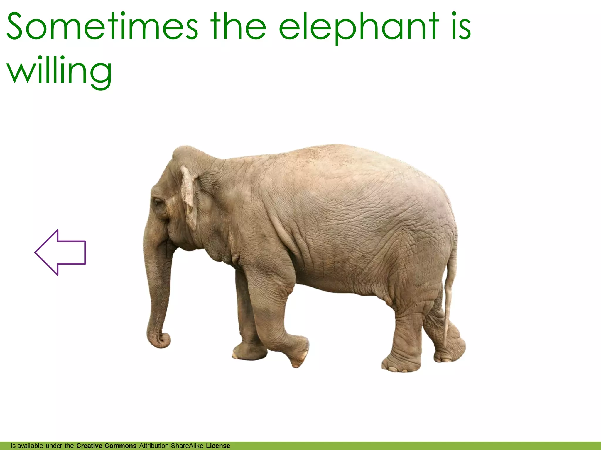 Sometimes the elephant is
willing




is available under the Creative Commons Attribution-ShareAlike License
 