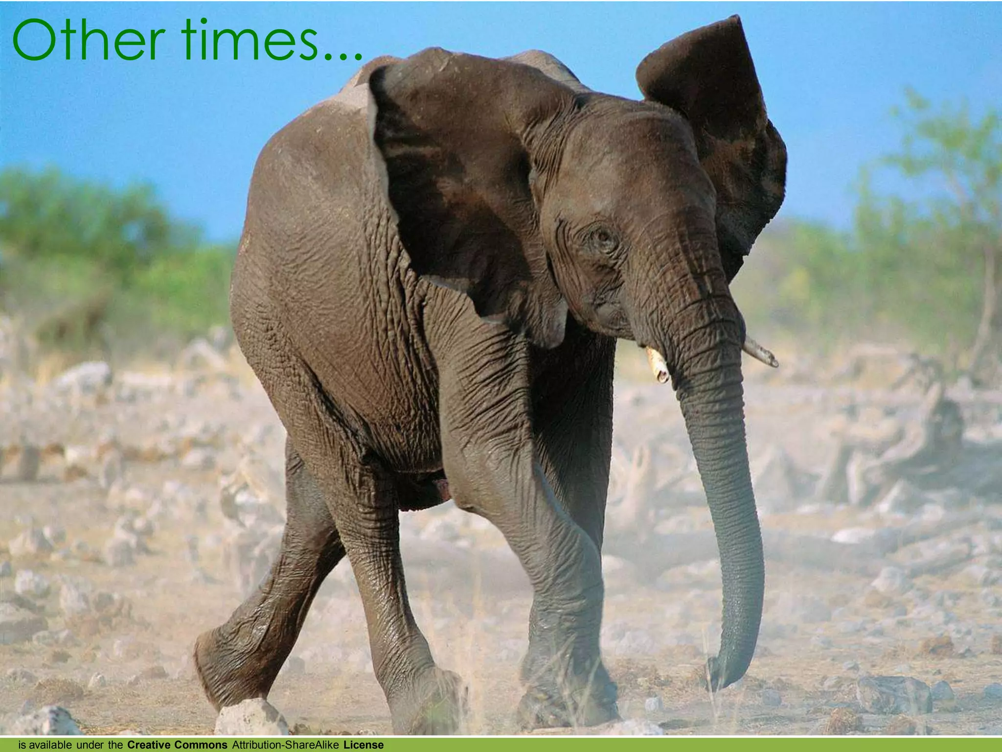 Other times...




is available under the Creative Commons Attribution-ShareAlike License
 