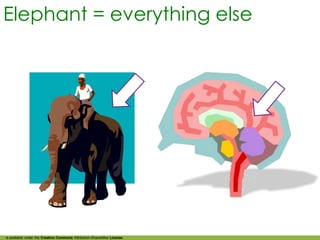 Elephant = everything else




is available under the Creative Commons Attribution-ShareAlike License
 